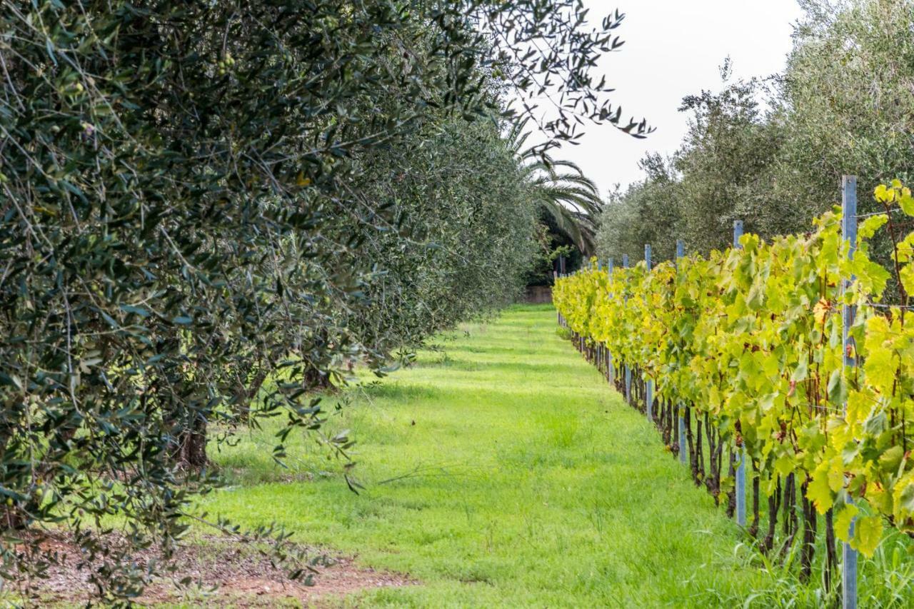 Agriturismo Villa Isa Follonica Exterior foto